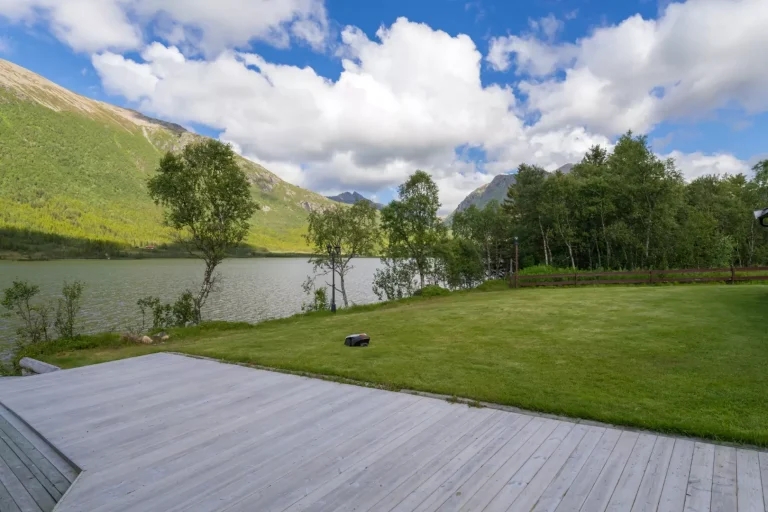 Lovely lawn area where children can play, the dog can run and the whole group can rest on the lawn in the sun.